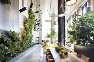 Check Out This Brooklyn Hotel's Dramatic Living Wall Installation - Photo 3 of 6 -