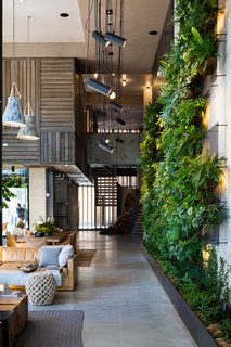Check Out This Brooklyn Hotel's Dramatic Living Wall Installation - Photo 4 of 6 -