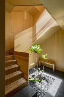 Polished concrete tiles and a wooden bench furnish the entry space. Light from above falls down onto the greenery, drawing the outdoors in. 