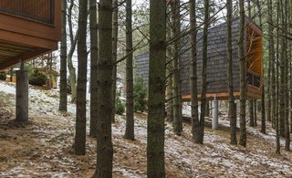 Camp in Style at This Trio of Cedar-Clad Cabins in Minnesota - Photo 1 of 8 -
