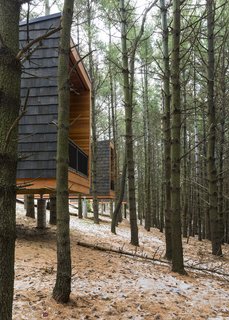 Camp in Style at This Trio of Cedar-Clad Cabins in Minnesota - Photo 3 of 8 -