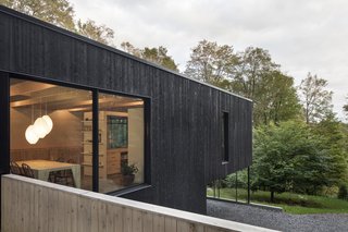 The hovered volume places minimal impact on the site, respecting the topography and natural conditions.