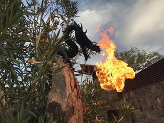 Shortly after Frank Lloyd Wright's death in 1959, apprentice Aaron Green presented Olgivanna Lloyd Wright with this bronze dragon, which was originally intended to be used as a water fountain. She had the apprentices perch the dragon on top of a stone steel outside of the Kiva and connect it to a gas line so it could breathe fire. The dragon continues to breathe fire on Night Lights tours at Taliesin West.