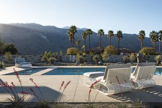 Astounding views of palm trees and the surrounding Palm Springs landscape are provided from 360-degree exterior views.