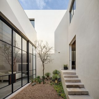 The smallest of the three courtyards is accessible via stairs off the kitchen. Large glazing provides visibility from the main living space.