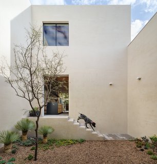 The courtyards are surrounded by cream colored walls and infilled with indigenous vegetation.