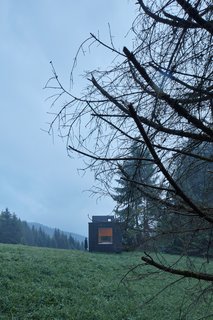 The wood-clad box blends in with the surrounding forest.