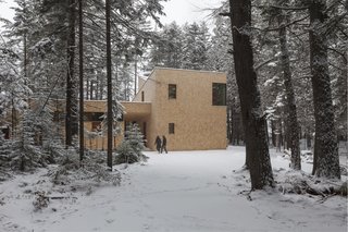 The shingled exterior will weather over time, further camouflaging the building into its surroundings.