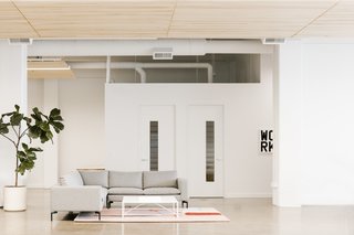 White walls and concrete floors are accented by greenery and lush lounge settings.