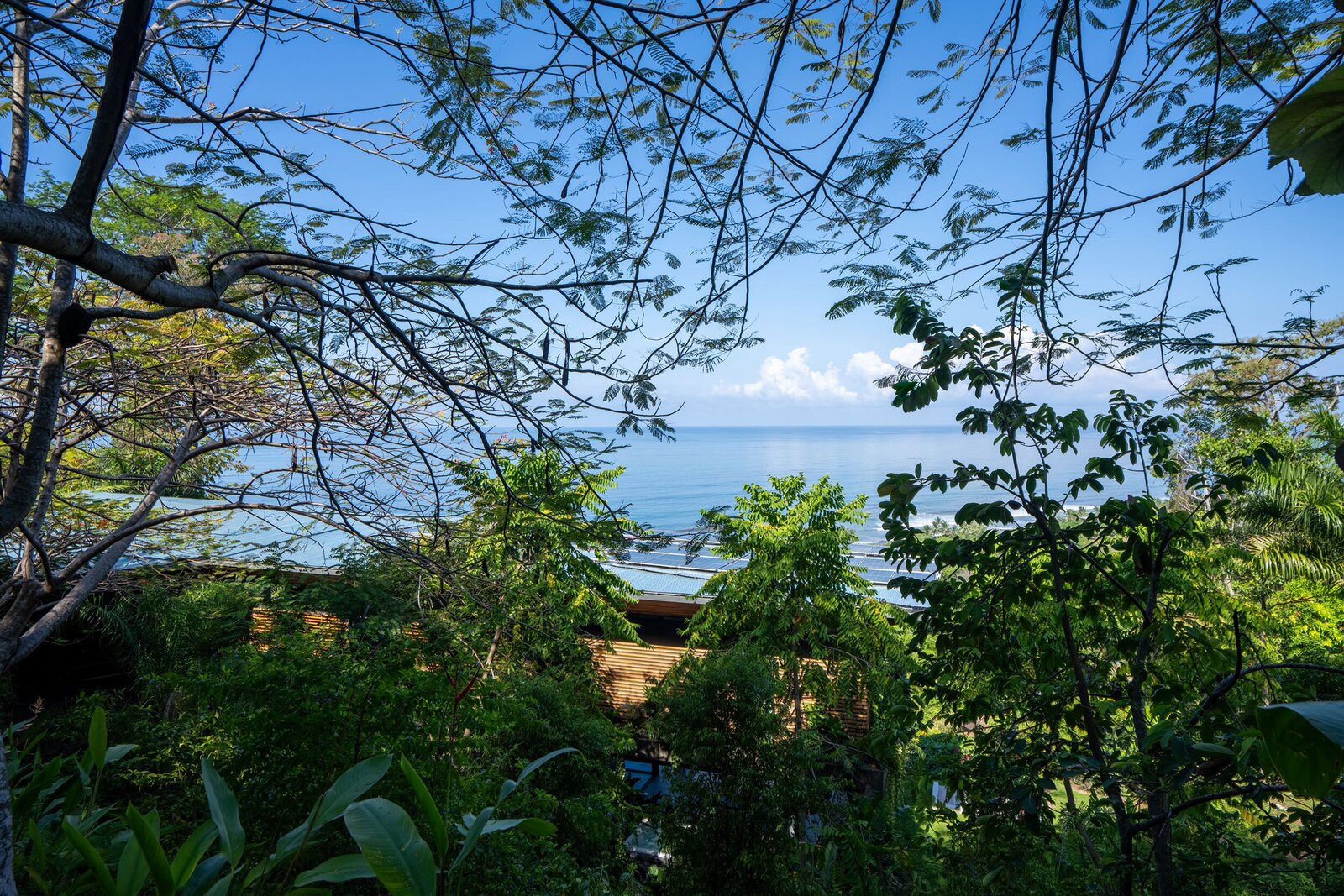 Photo 4 of 50 in Cascada de Luz by Studio Saxe - Dwell