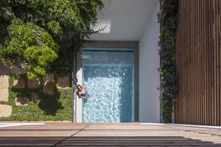 8 Small and Unexpected Garden Oases Hidden in the Middle of Cities - Photo 4 of 8 - In Tel Aviv, a small pool and garden were carved out of the backyard of this renovated townhouse. White walls reflect the powerful sun rays while trees and greenery provide shade.
