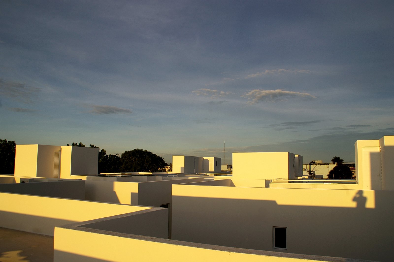 Merida House Ludwig Godefroy Architecture Archdaily
