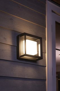 Philips Hue's new outdoor ceiling light from its Econic range arrives in March for $130.