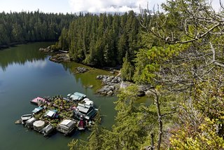 A New Book For Those Who Dream of Living in a Floating Home - Photo 7 of 11 - The Clayoquot Sound in Vancouver, Canada, is home to two artists who constructed a floating compound themselves over the past 25 years. The whimsical complex includes their house, four greenhouses, a lighthouse, fish smoking hut, art gallery, candle-making shack, and an array of platforms that connect each of the shelters. 