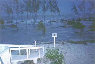 Discover Florida's Mysterious Dome Home Before It Sinks Into the Sea - Photo 9 of 11 -