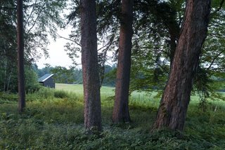 Writers Work in Mobile Studios at This Incredible Residency in Massachusetts - Photo 2 of 12 -