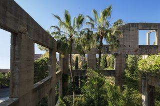 Exposed concrete walls and lush plantings create the feeling of a modern-day ruin.
