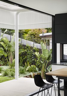 Lush landscaping designed by Octopus Garden Design extends from the front yard through a terraced side garden into the backyard. 