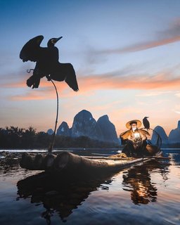 Grandpa Huang fishing on the Li River in Guangxi, China. 