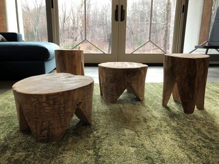 Stools made of fallen ash wood show the path of the emerald ash borers that claimed the trees.