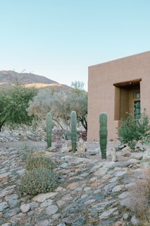 Outside, Young incorporated decomposed granite, native plant species, and large date palms. She moved a lot of rocks around to add to the natural desert feel she wanted for the property. 