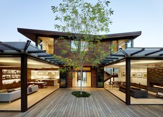 A single tree in the courtyard anchors the central space surrounded by Southland Windows & Doors glass walls. 