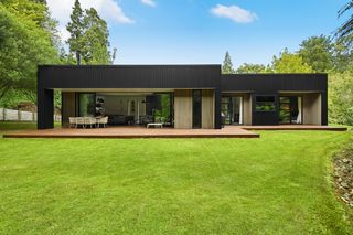 This New Zealand Residence Was Designed to Immerse Its Residents in Birdsong