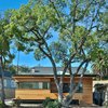 Modern home with House Building Type, Wood Siding Material, Front Yard, and Exterior. Front Photo 9 of Fenlon House