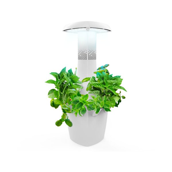 Discover The Best Microgarden Indoor Garden Kit Products On Dwell Root Indoor Garden System