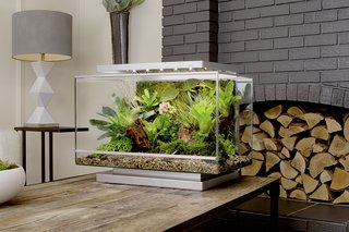 Clueless About Gardening? These 5 Smart Planters Can Help - Photo 8 of 9 -