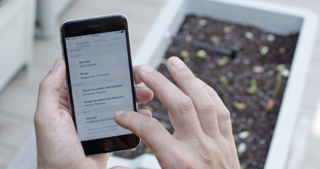 Clueless About Gardening? These 5 Smart Planters Can Help - Photo 2 of 9 -
