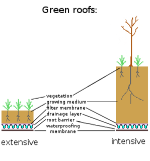 Extensive versus intensive