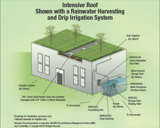 Intensive roof
