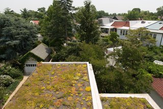 For this green roof, the family received a subsidy administered by DC Greenworks and funded by the DC Department of the Environment. The sedum plantings come from nearby Emory Knoll Farms, the only nursery in North America that focuses solely on propagating plants intended for green-roof systems.