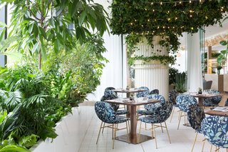 Vancouver’s Botanist Restaurant Updates the Power Lunch - Photo 5 of 7 -