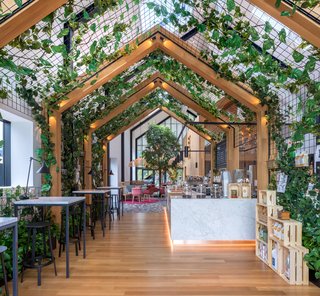 Boutique Coffee Roaster Coperaco's First Cafe Holds a Modern Tree House - Photo 6 of 6 -