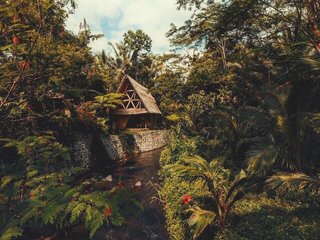 This Serene Bamboo Bungalow Rental Is a Slice of Paradise in Bali - Photo 1 of 14 -
