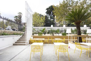 The Cycas forms the focal point in the outdoor dining area.