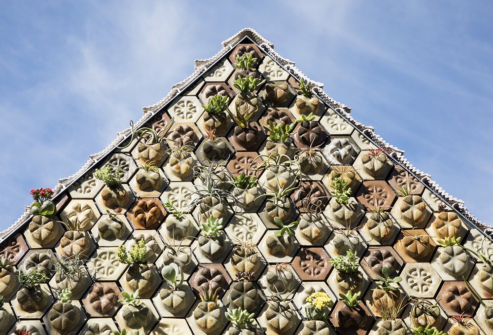 The 3D-printed succulent tiles are made from Portland cement, sawdust, and “chardonnay” pomace.
