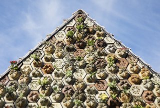 The 3D-printed succulent tiles are made from cement, sawdust, and "chardonnay" pomace.
