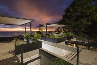 Mint's elevated location offers stellar sunset viewing.
