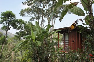 The surrounding region offers a wide variety of activities, such as spice walks, trekking, bamboo rafting, and wildlife sanctuary visits.
