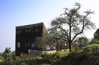 The operable windows can be opened to let in cooling cross breezes.