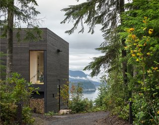 The southern and eastern elevations are mostly left opaque to provide privacy from the nearby access road.