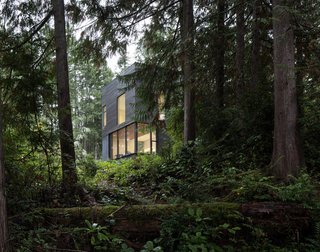 The dark cladding helps recede the simple, boxy home into the lush forest.