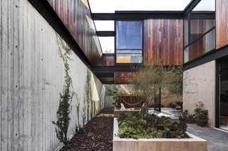 To make up for the lack of views, Gracia has installed a central courtyard that houses a variety of plants, including climbing vines and a tree.