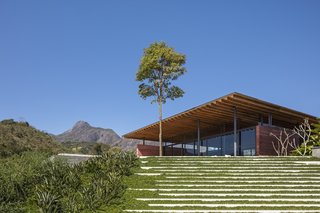 Spaced-out pavers are laid down on the slope leading away from the east-facing veranda.