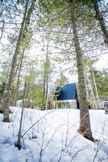 The cabin is surrounded by a thick forest of birch and spruce.