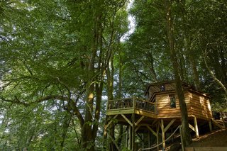 The hexagonal tree house is slightly over 800 square feet in size.
