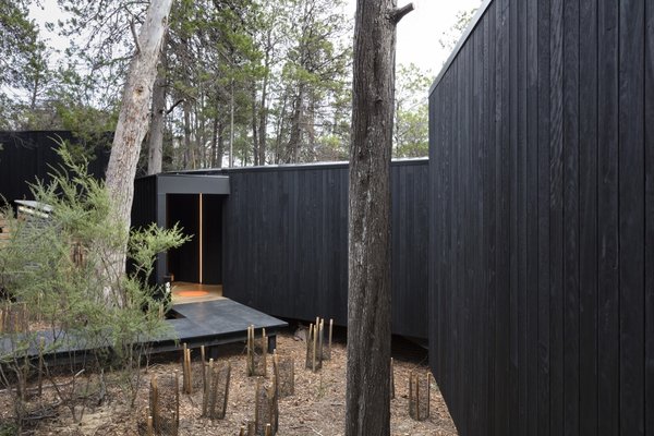 The exterior Red Ironbark cladding was charred—using the Shou Sugi Ban technique—to increase the longevity of the timber and as a nod to the significance of fire.